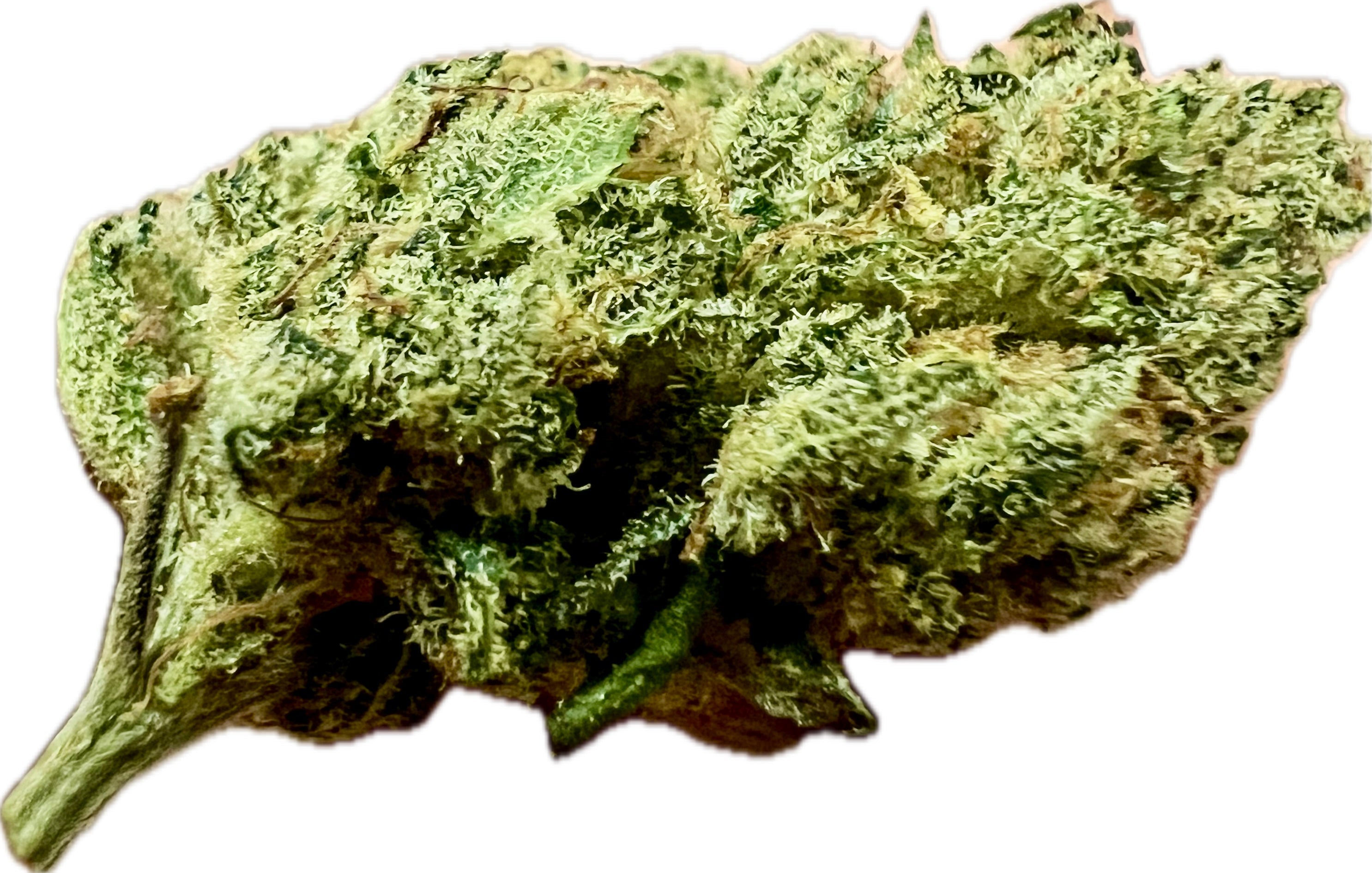 Ripkitty Indoor Big Apple Jack CBD Hemp Flowers