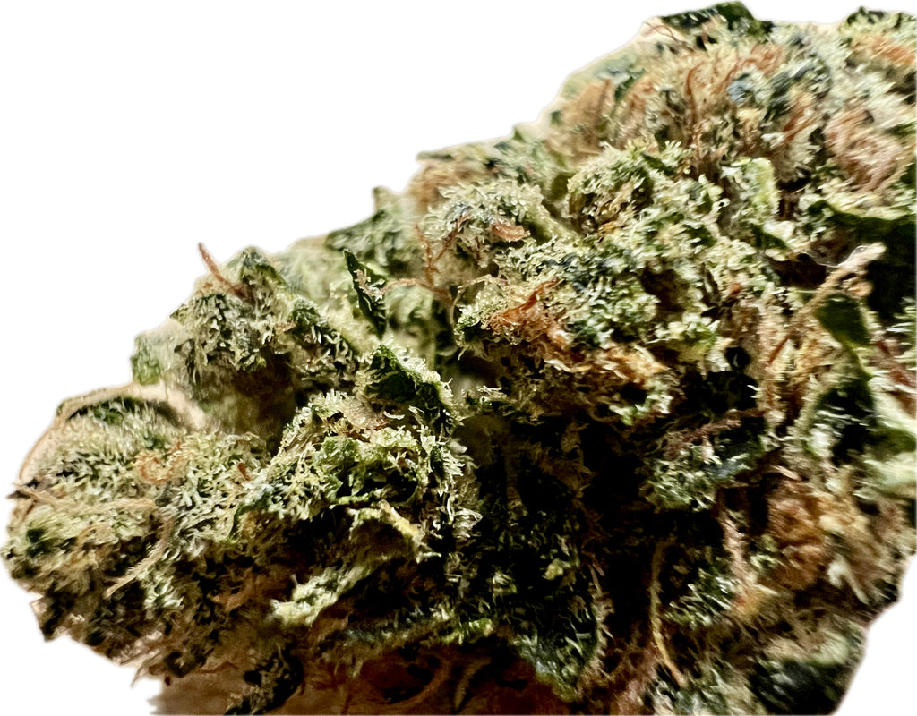 Ripkitty Indoor Big Apple Jack CBD Hemp Flowers