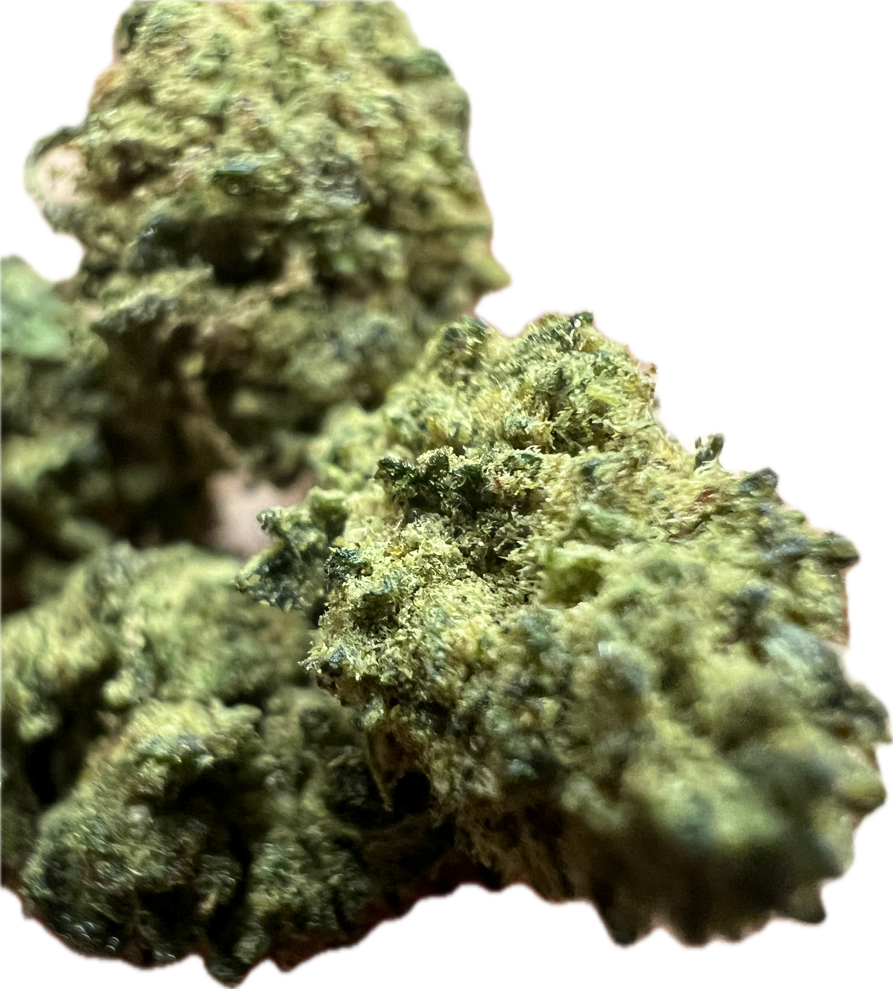 Ripkitty Royal OG HHC Hemp Flowers