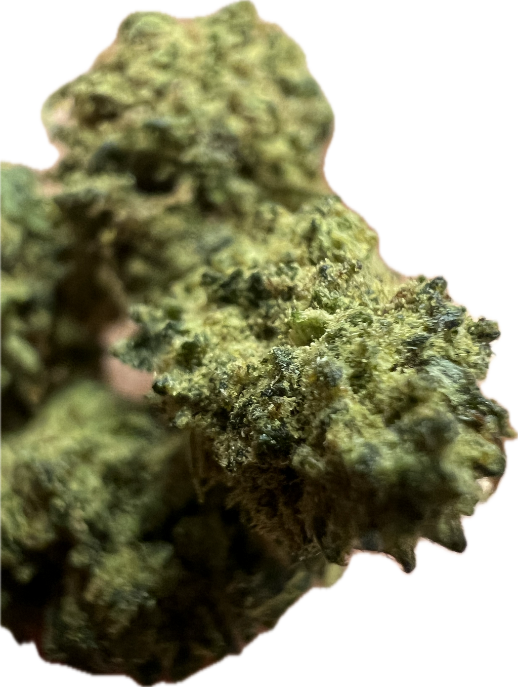 Ripkitty Royal OG HHC Hemp Flowers