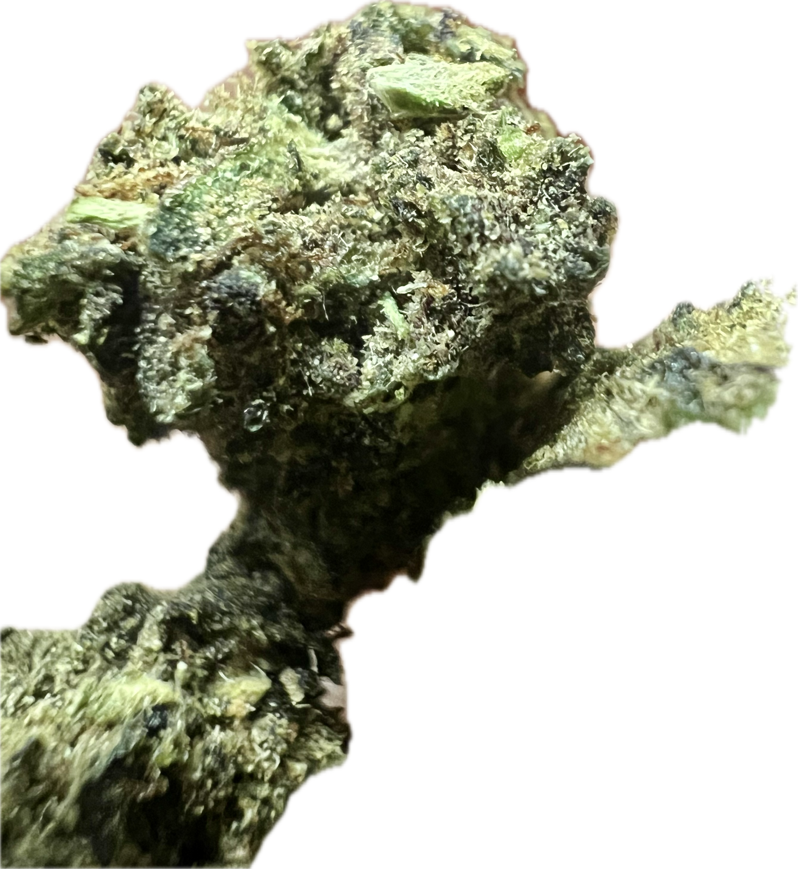 Ripkitty Royal OG HHC Hemp Flowers