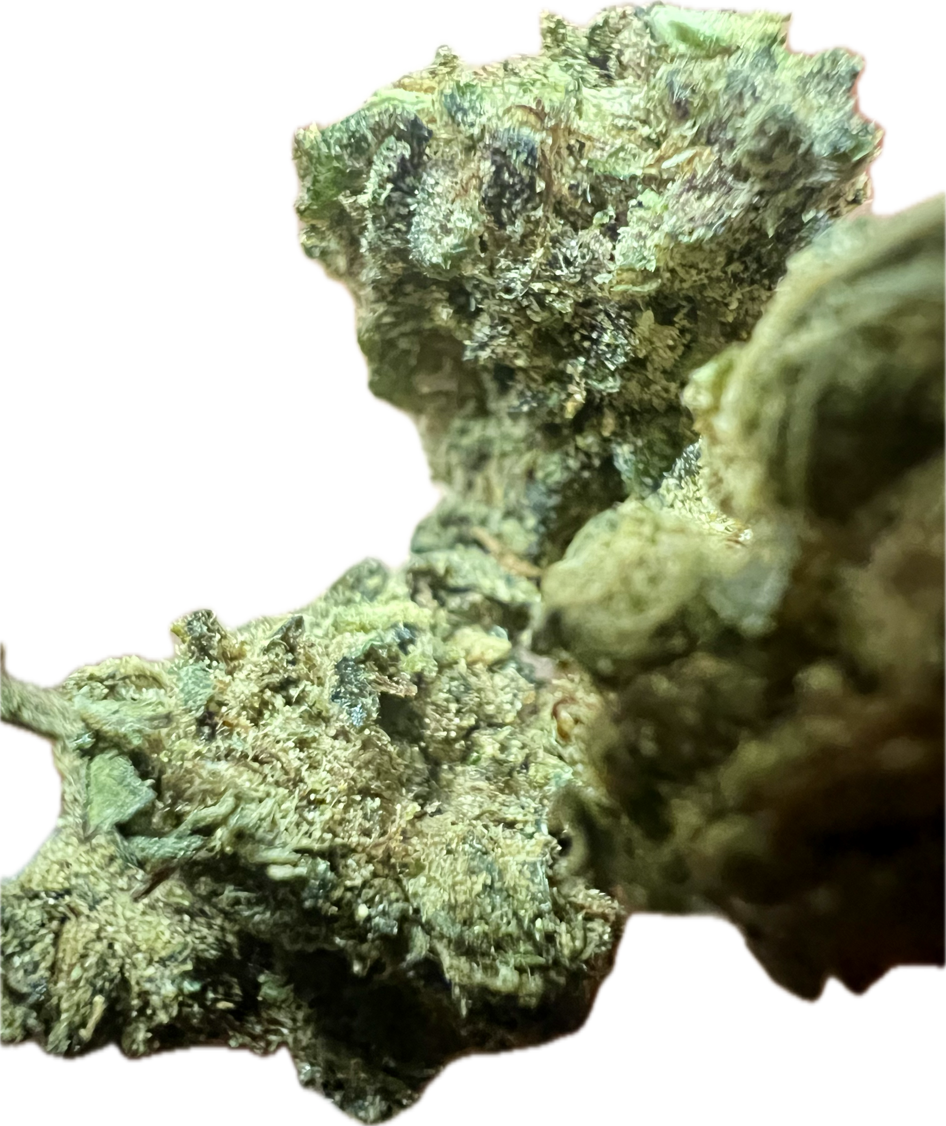 Ripkitty Royal OG HHC Hemp Flowers