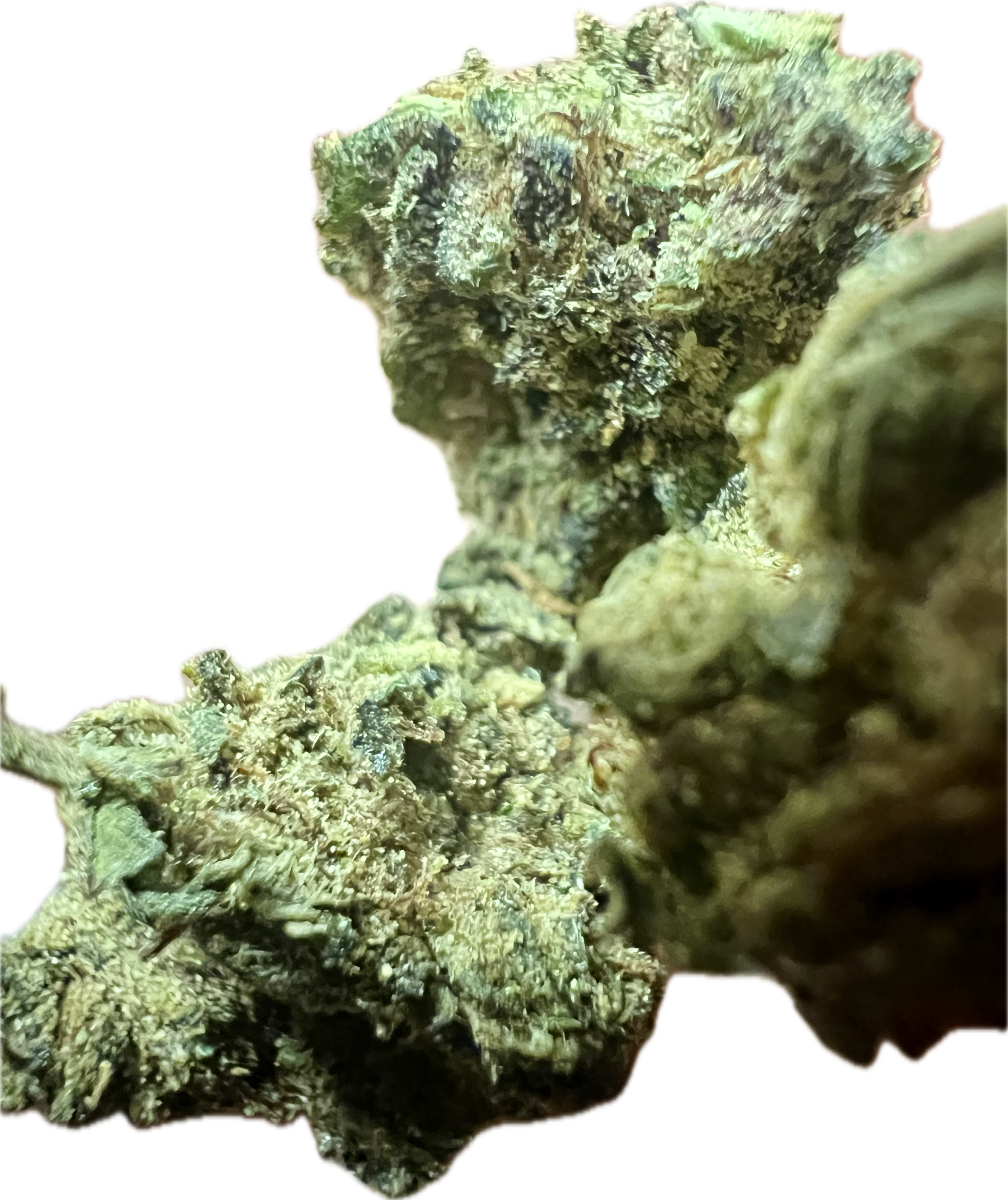 Ripkitty Royal OG HHC Hemp Flowers