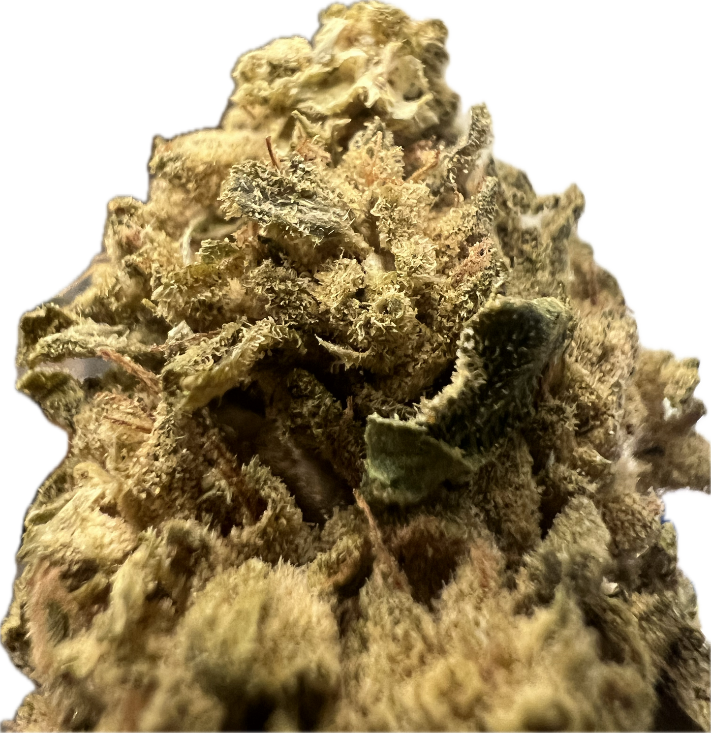 Ripkitty Sour G CBG Hemp Flowers