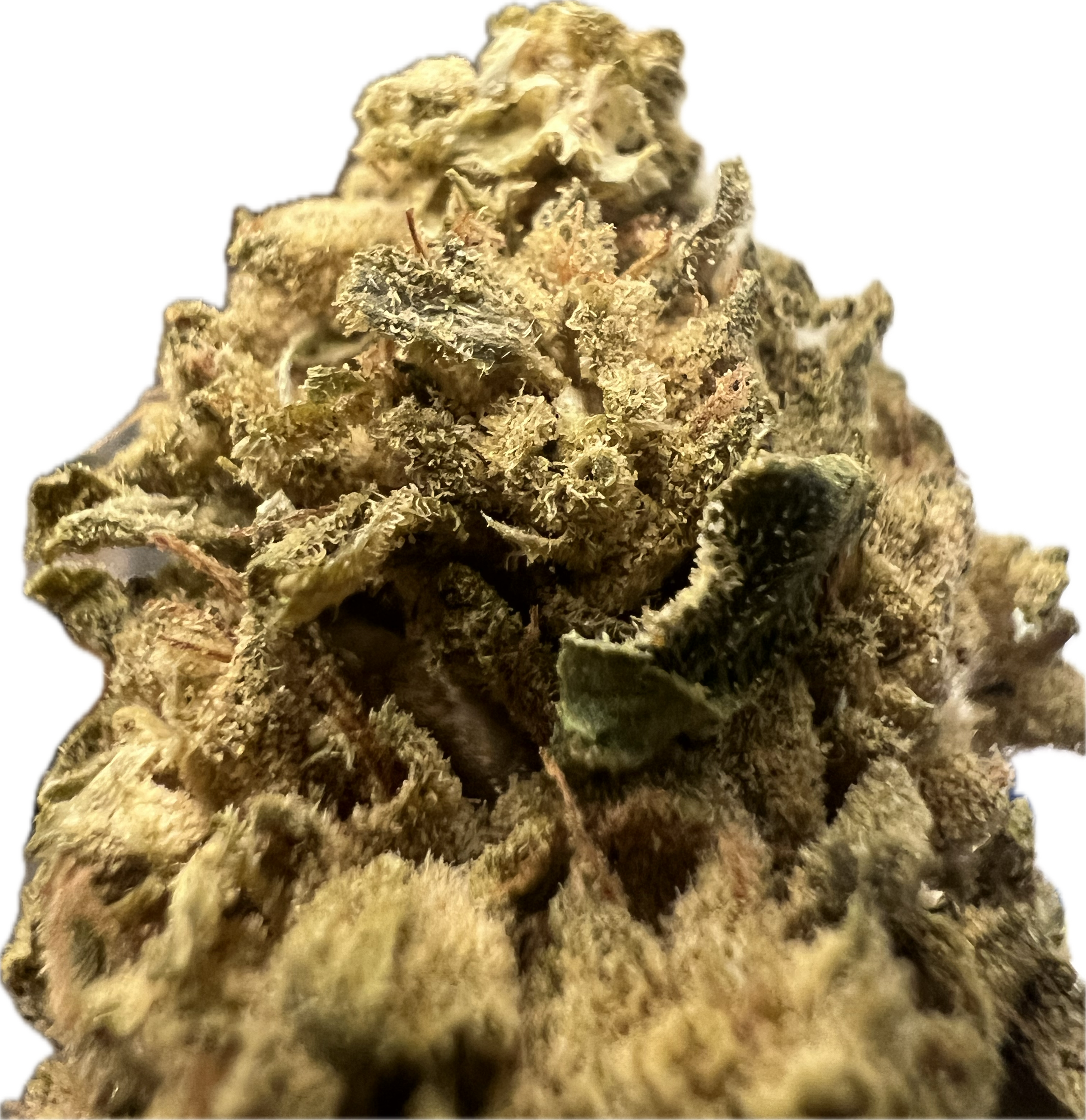 Ripkitty Sour G CBG Hemp Flowers