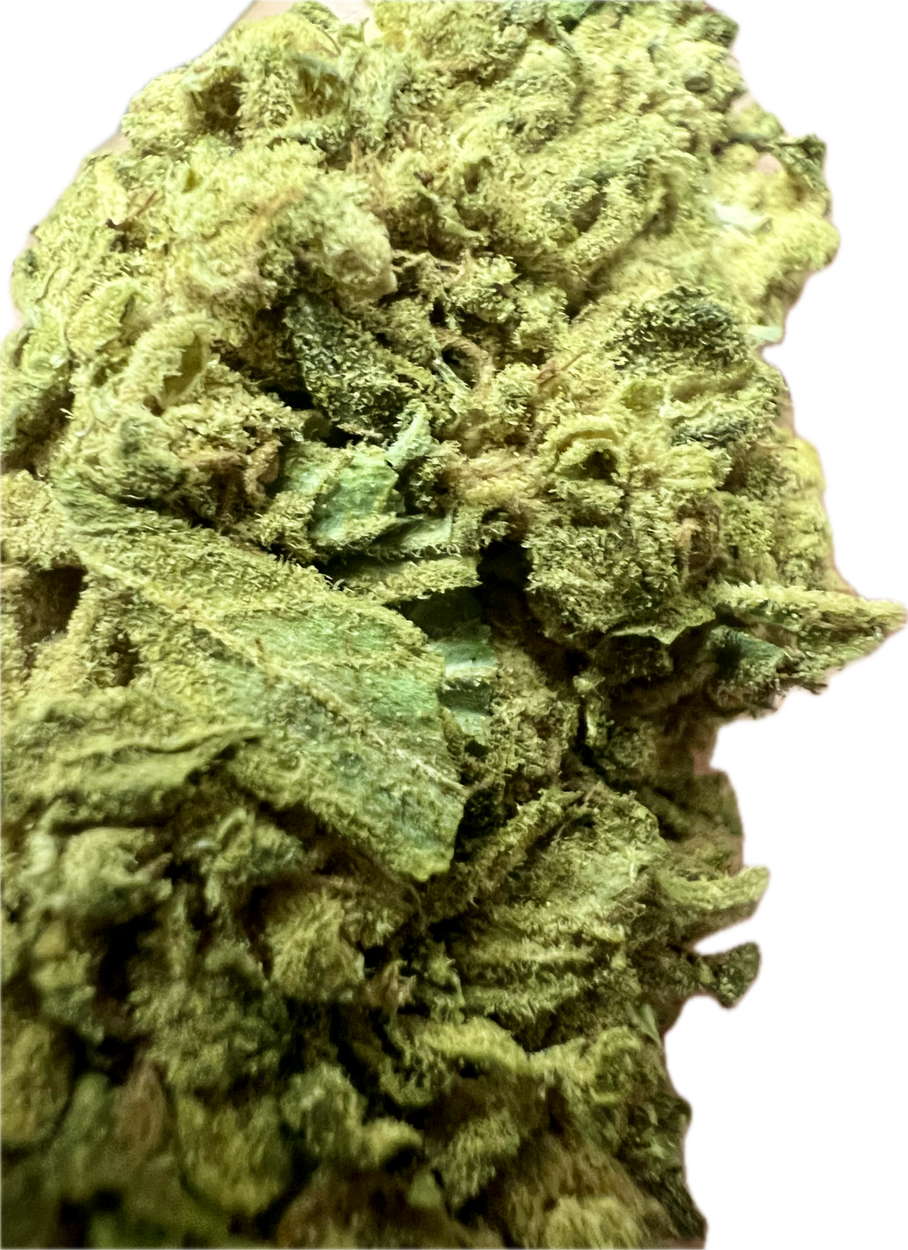 Ripkitty Sour G CBG Hemp Flowers