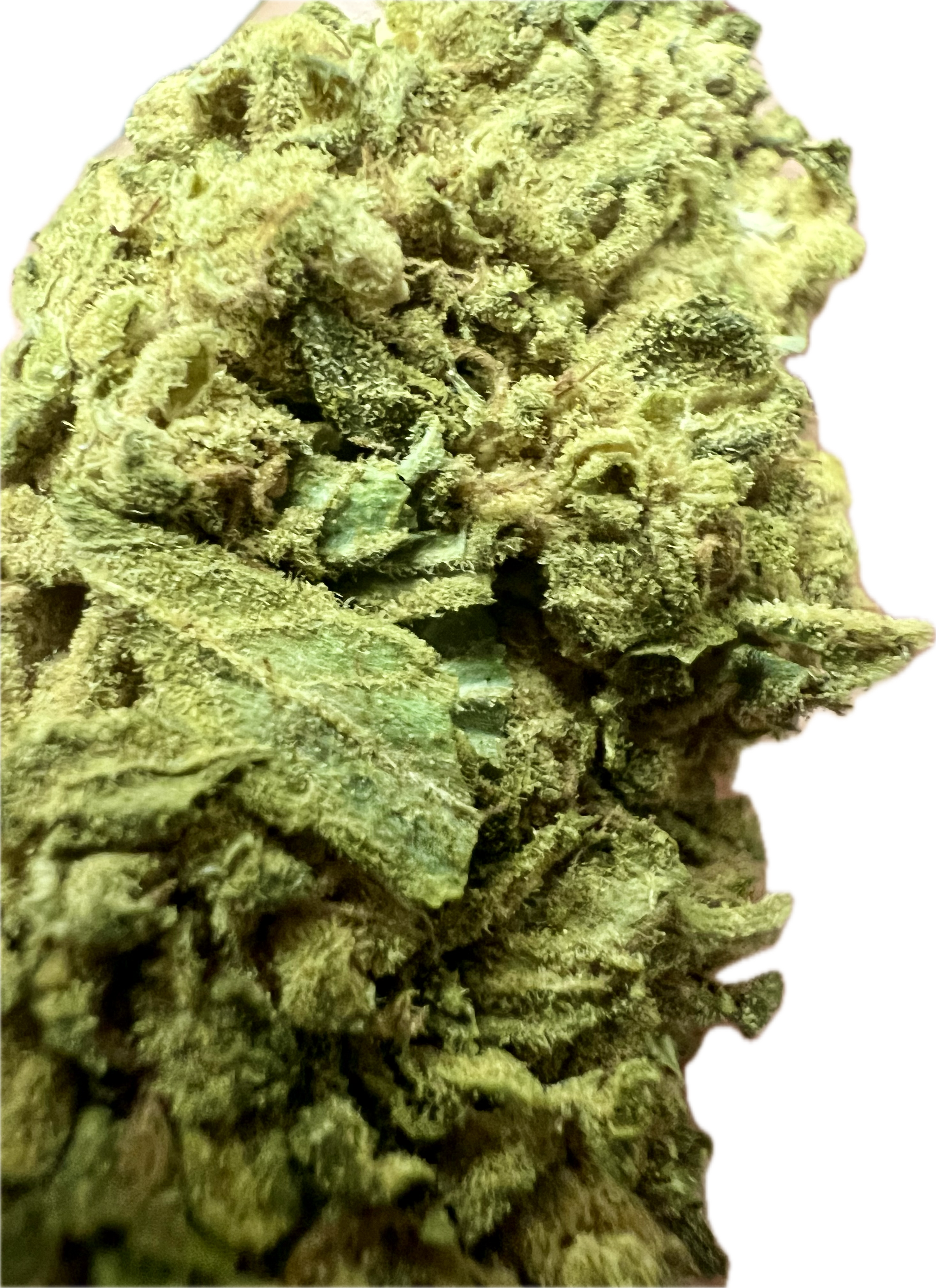 Ripkitty Sour G CBG Hemp Flowers