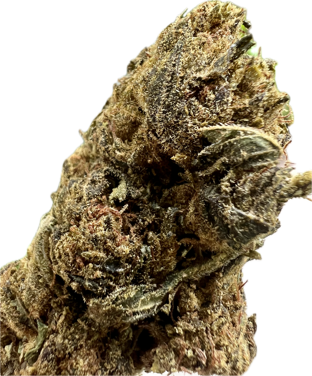 Ripkitty Black Truffle THCA Hemp Flowers