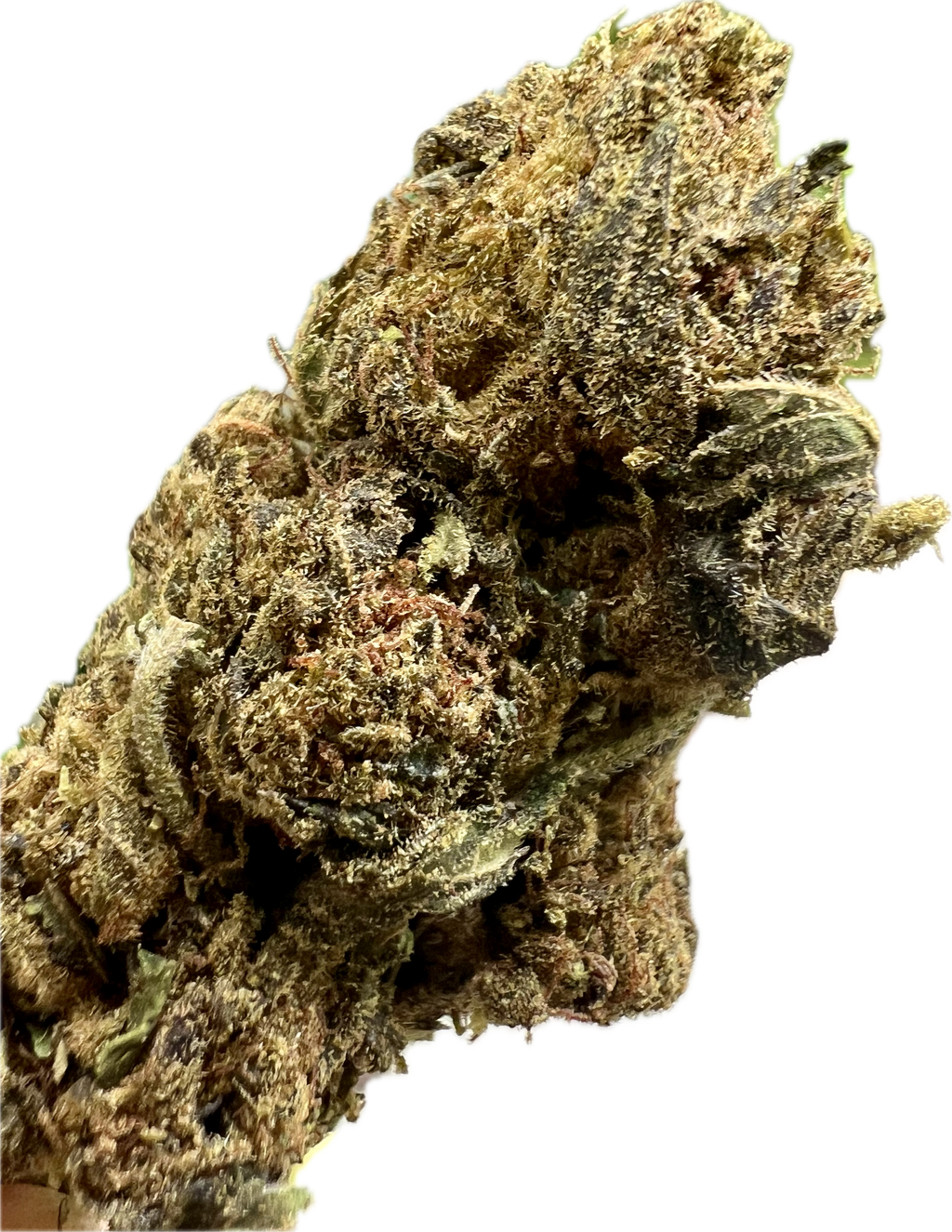 Ripkitty Black Truffle THCA Hemp Flowers