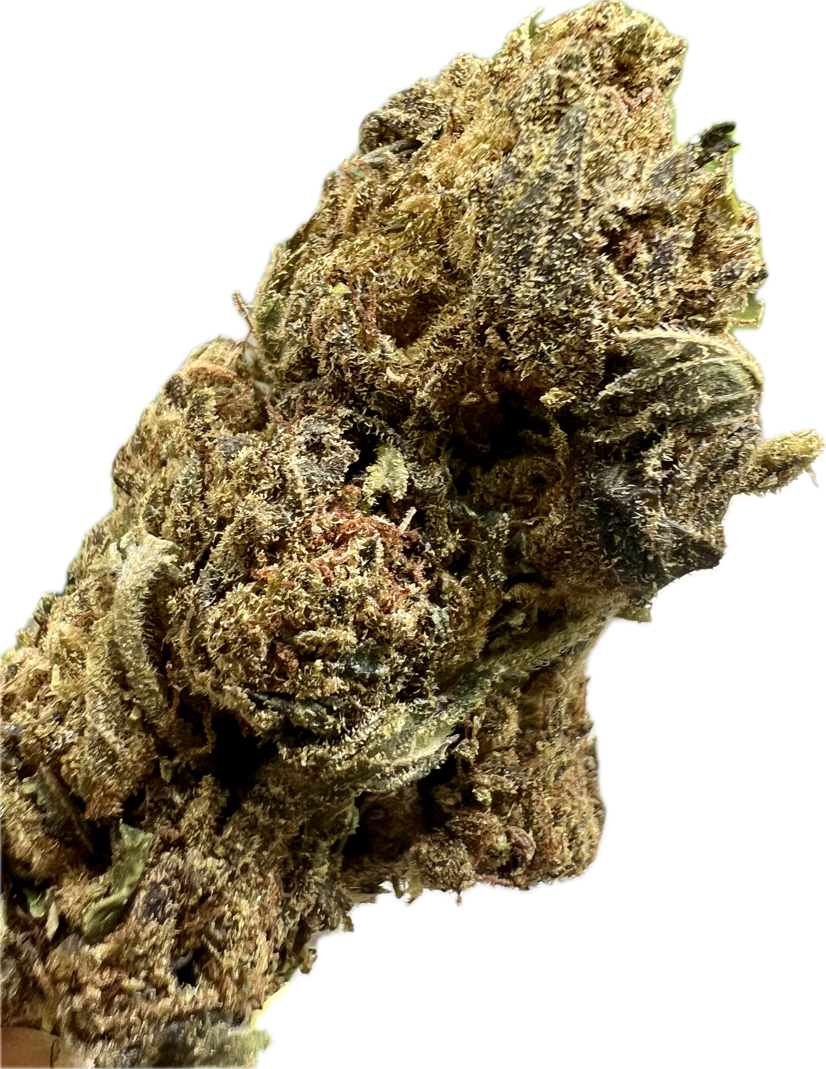 Ripkitty Black Truffle THCA Hemp Flowers