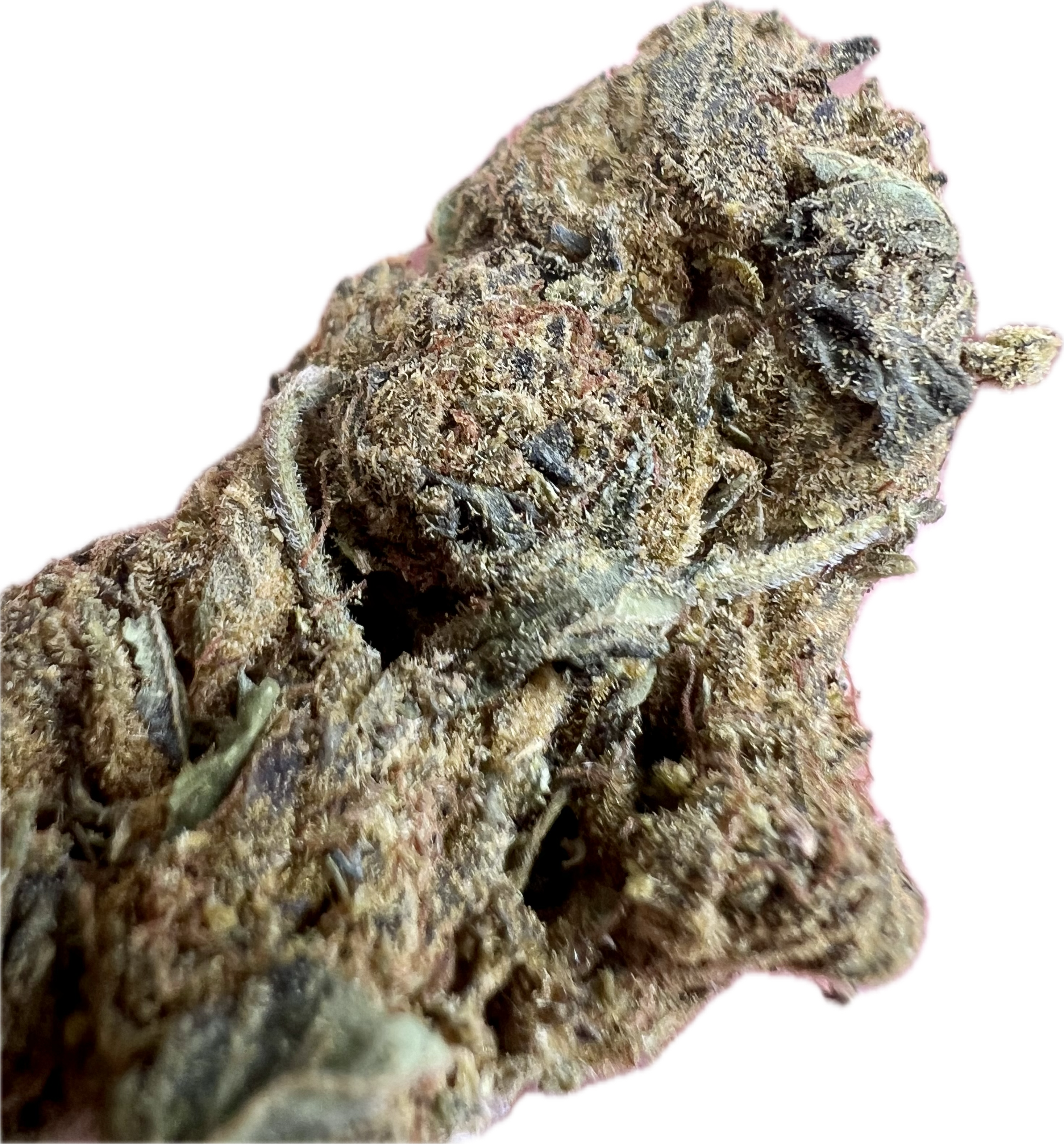 Ripkitty Black Truffle THCA Hemp Flowers Close Up