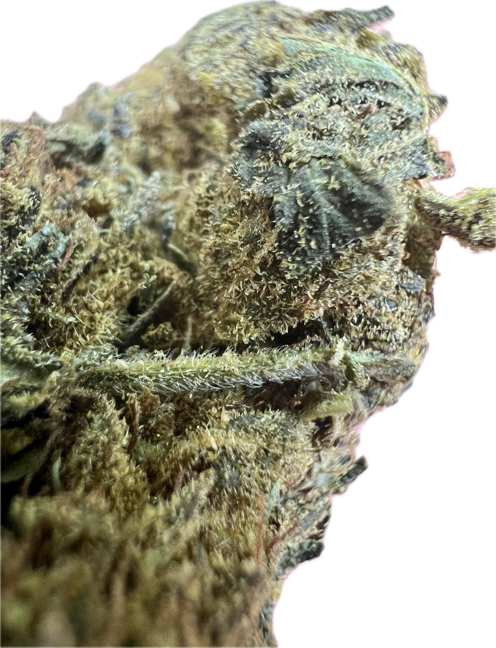 Ripkitty Black Truffle THCA Hemp Flowers