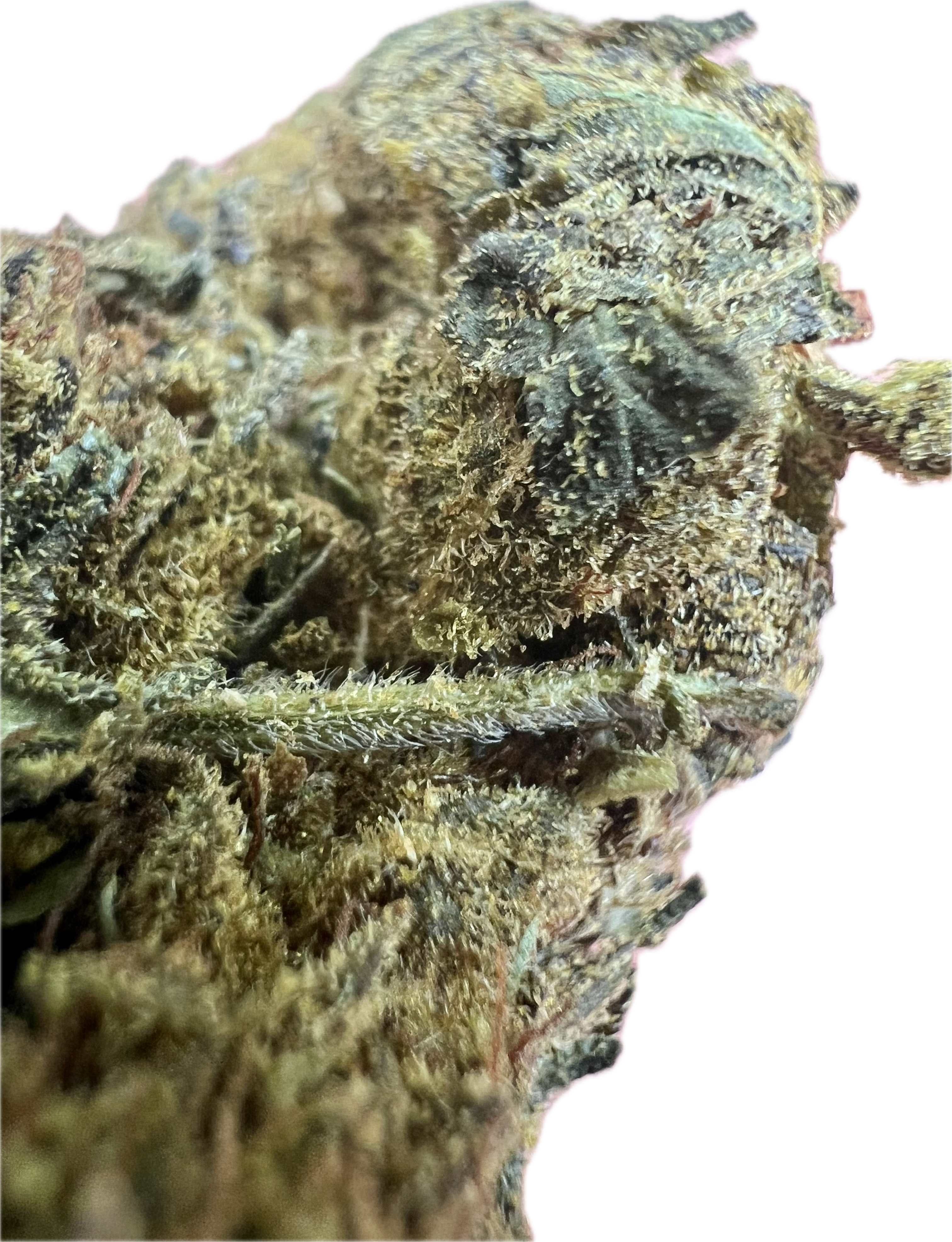 Ripkitty Black Truffle THCA Hemp Flowers