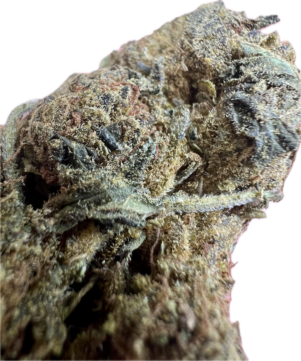 Ripkitty Black Truffle THCA Hemp Flowers