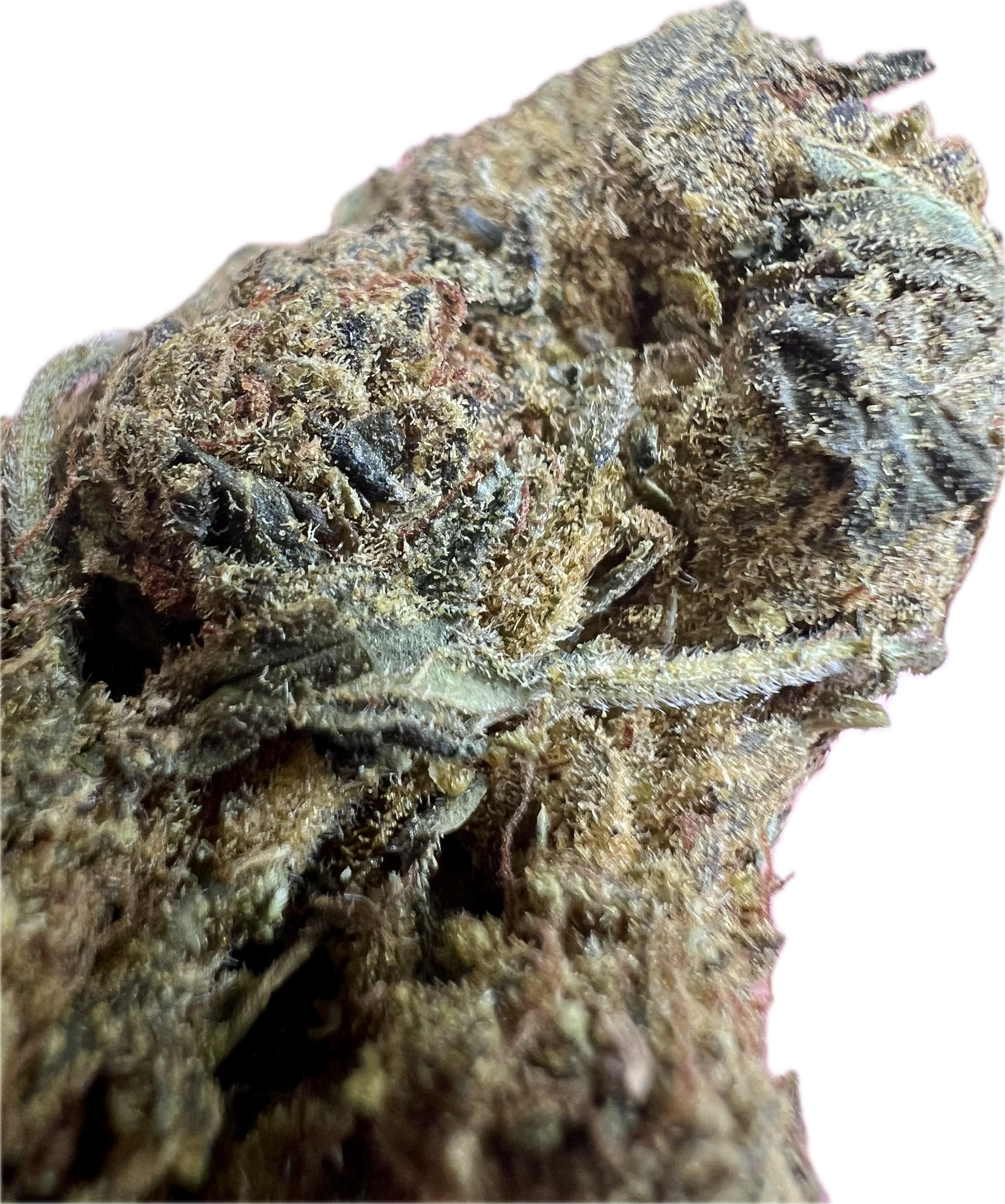 Ripkitty Black Truffle THCA Hemp Flowers