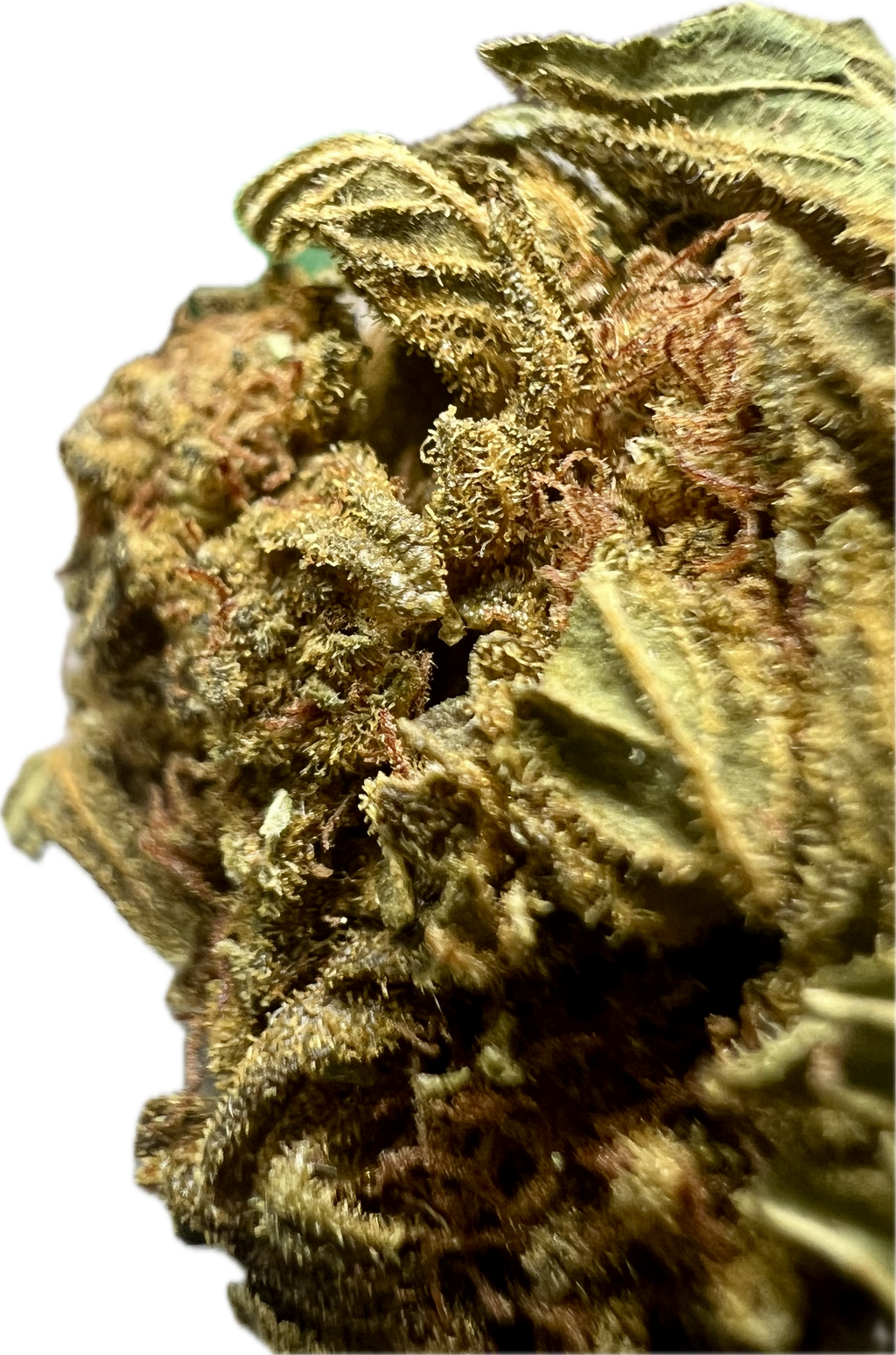 Ripkitty Crack Smuggler THCA Hemp Flowers