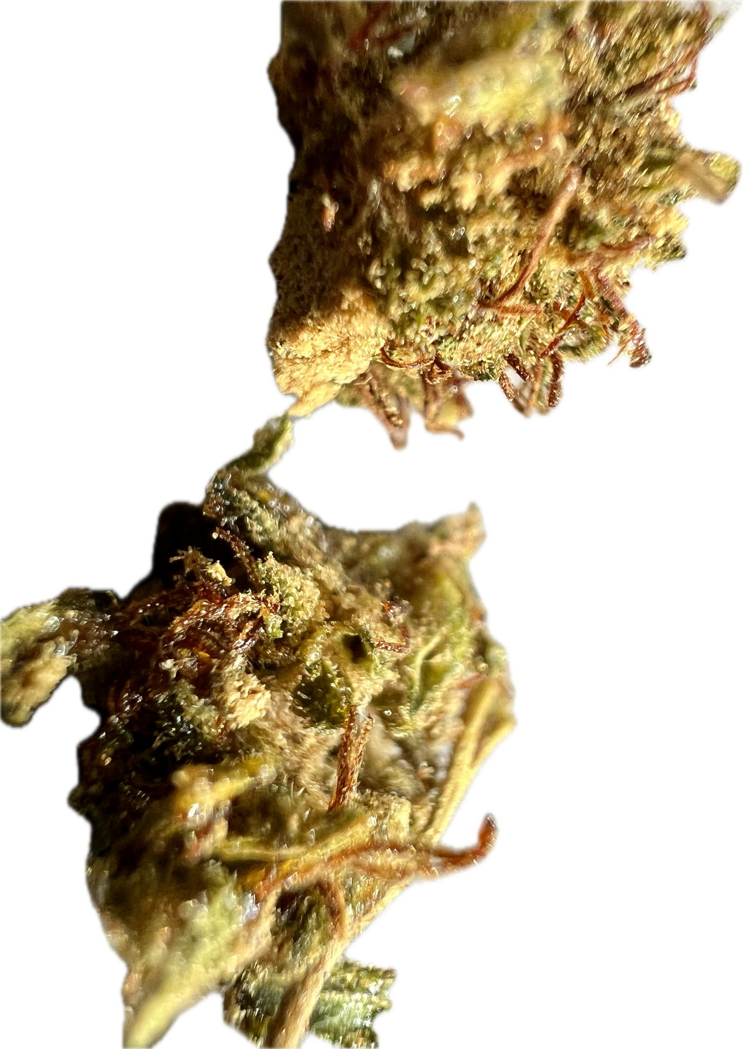 Ripkitty Super Sour Lifter Hemp Flowers