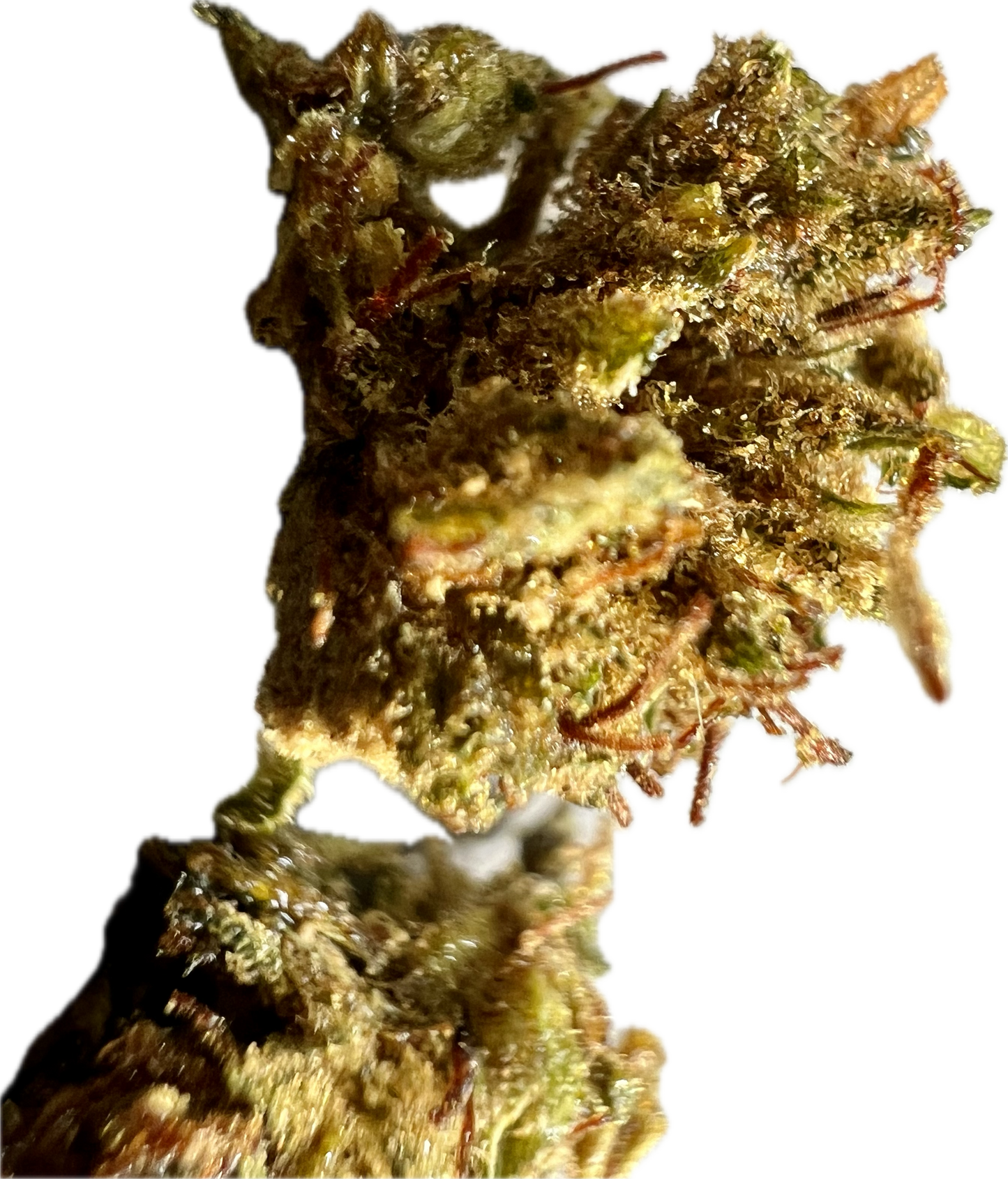 Ripkitty Super Sour Lifter Hemp Flowers