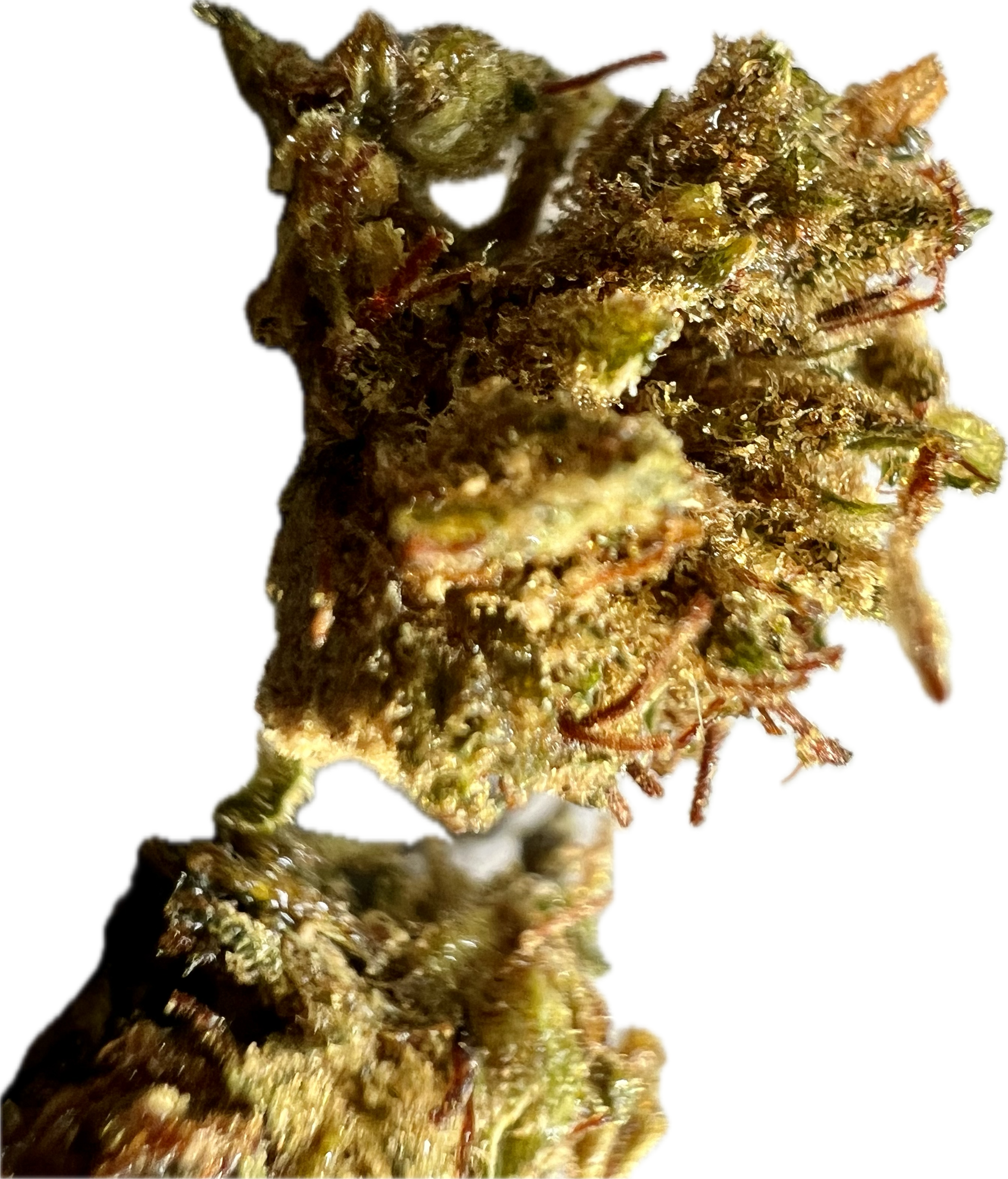 Ripkitty Super Sour Lifter HHC Hemp Flowers