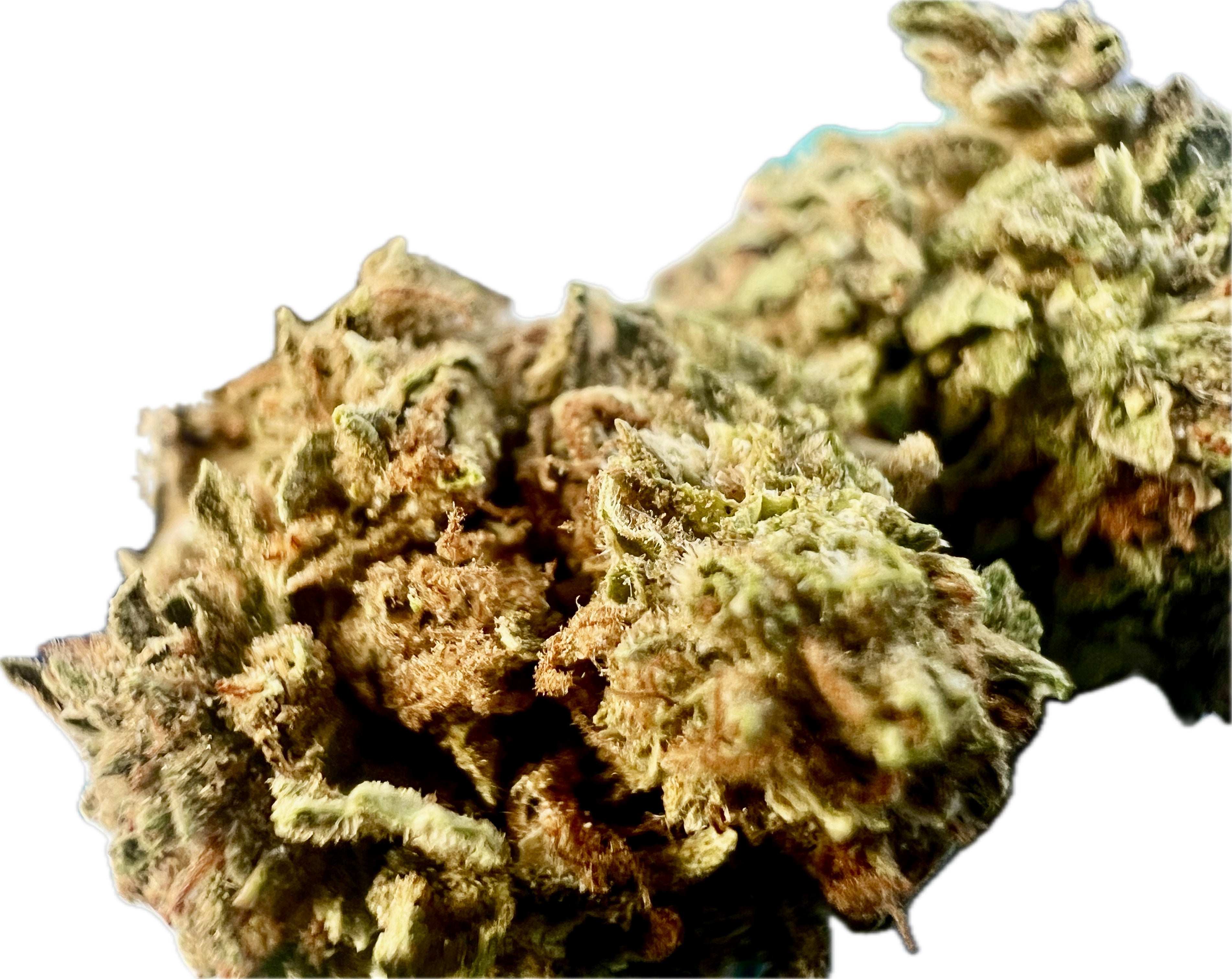 Ripkitty Gelato #33 THCA Hemp Flowers