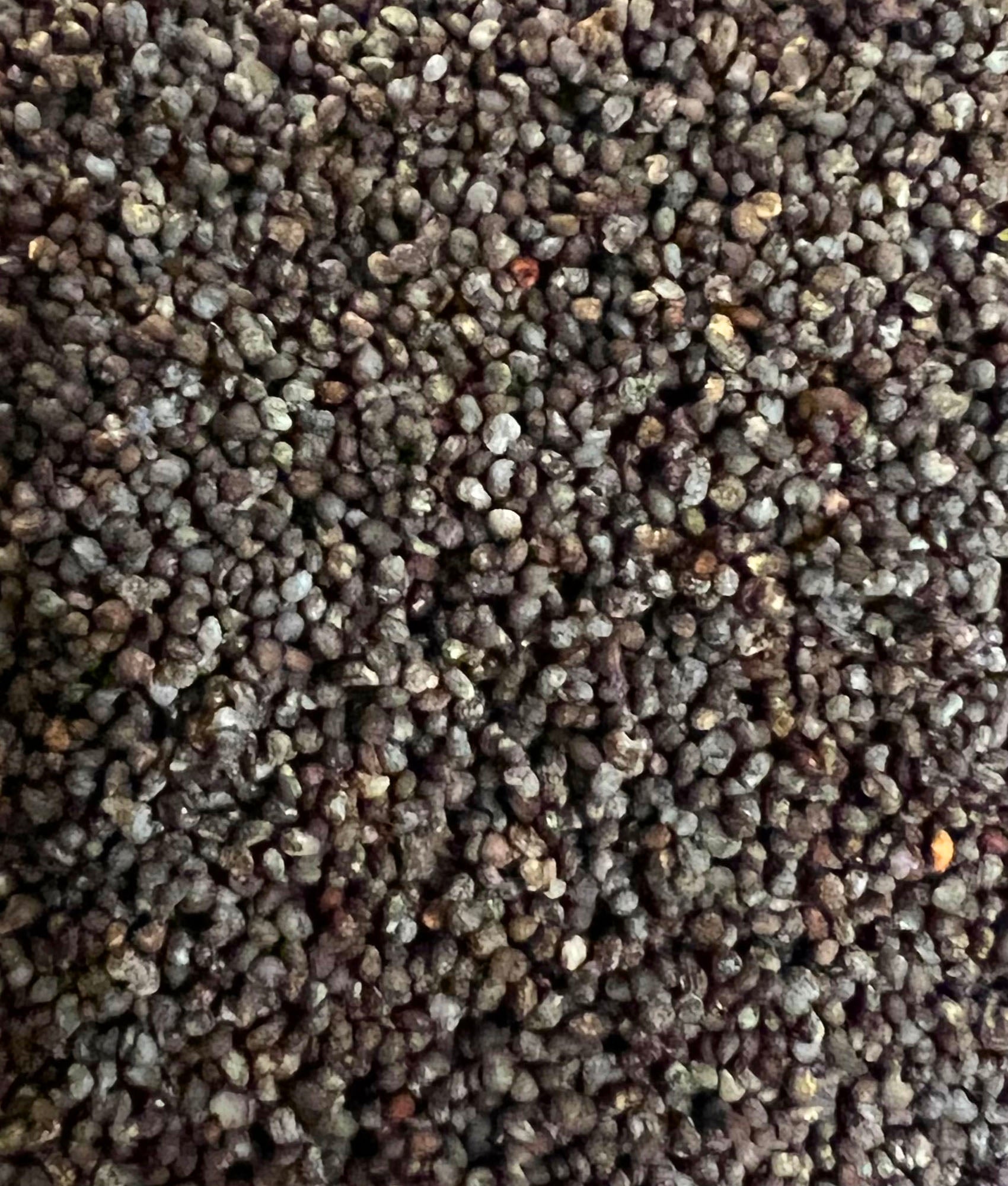 Ripkitty Premium Unwashed Untreated Unprocessed Raw Organic Natural Whole Papaver Somniferum Culinary Poppy Seeds